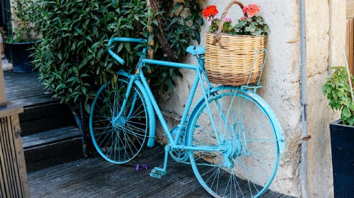 Transforma tus viejas ruedas de bicicleta en guías de jardinería y dale un giro al reciclaje